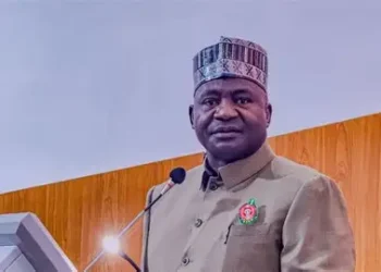 Defence Minister Denies Reports of Resignation from Tinubu's Government