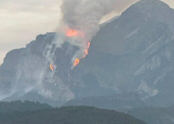Wildfires Force 267,000 to Flee in France, Spain