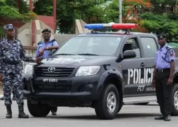 Southern, Middle Belt leaders seek governors’ control of state police