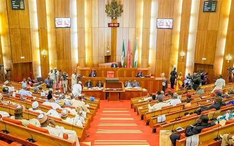 Senate Broadens Safe Schools Investigation, Summons Key Education Agencies