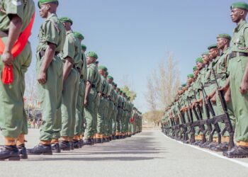 Nigerian Security Forces Record Major Gains Against Terrorism in First Half of 2026