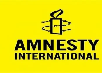 Amnesty Vows To Make Fadahunsi An Example Over Osun Election Incitement