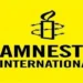 Amnesty Vows To Make Fadahunsi An Example Over Osun Election Incitement