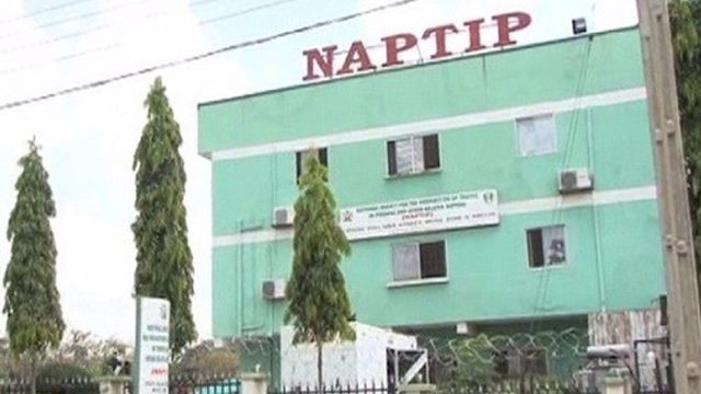 NAPTIP seals Port Harcourt maternity over alleged N13.5m baby sale, trafficking