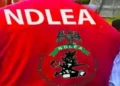 Italy based businessman excretes 98 cocaine wraps at Enugu airport