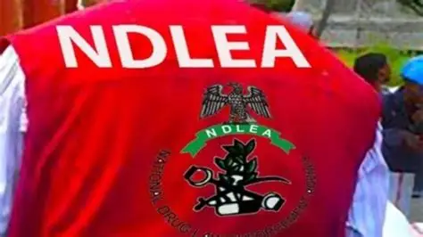 Italy based businessman excretes 98 cocaine wraps at Enugu airport