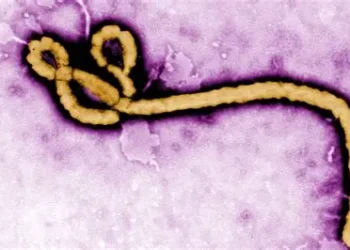 Ebola Death Toll Surpasses 2,000 in DR Congo as Outbreak Spreads Rapidly